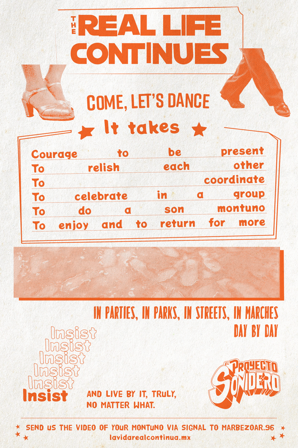 poster the real life continues 2