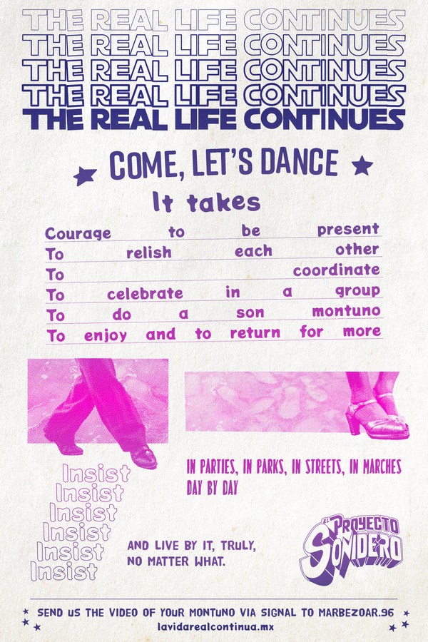 poster the real life continues 2